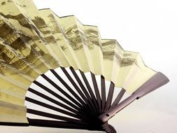hand painted paper chinese fan