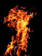 background with burning wood fire