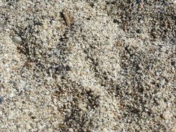 Sand Gravel Background