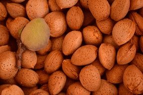 Almonds Background Shell Fruits