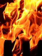 wallpaper with beautiful burning wood fire