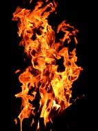 background with beautiful wood fire