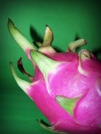 pink fruit on green background