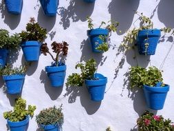 Pots Blue Wall Pattern Flower