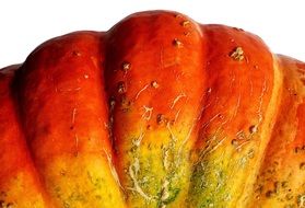 wallpaper with details of pumpkin