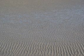 Sand Ripple Sea Soil