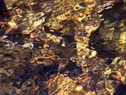 Water Reflection Golden Texture