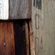 Wood Texture Wood Texture Bright