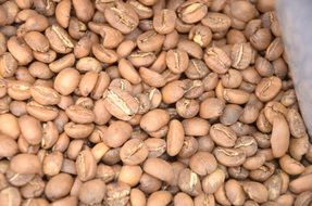 wallpaper with brown coffee beans