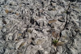 Ground Background Stones