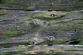 wooden fence with green paint, texture, background