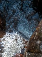 water stream with bubbles