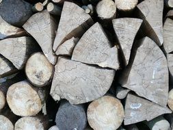 Aesthetic Tree Trunks Structure