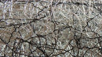 Texture Web Macro Material