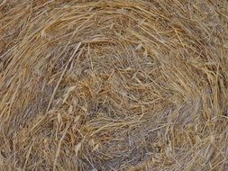 Straw Straw Bales Dry Rolled