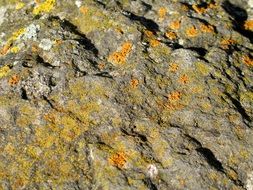 Stone Weave Nature Background