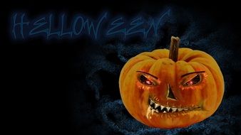 pumpkin on black and blue background