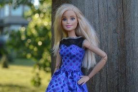Blond Barbie Doll