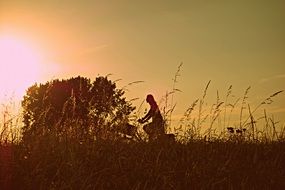 Cycling woman silhouette in countryside landscape