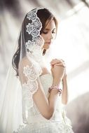 beautiful bride with a veil