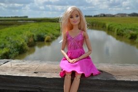 barbie in a pink dress on the bridge