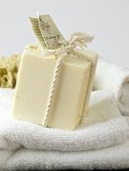 Piece of Soap Natural Cosmetics Wash