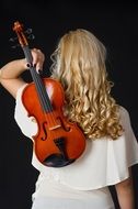 Violin Musician