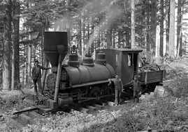 Train Locomotive in forest
