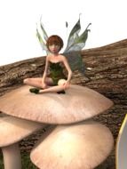 Woman Elf sitting on Mushroom, illustration