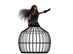 woman skirt like a bird cage