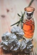 perfume little bottle