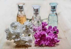 aromatic perfume bottles