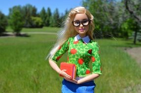 Barbie Doll with book outdoor