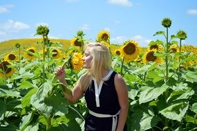 Blond girl is smelling sunflowers in summer