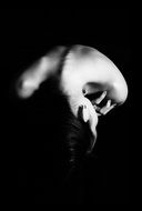 Picture of the woman in a dark