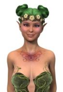graphic female elf