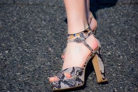 serpentine Woman Shoes