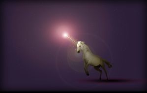 white unicorn on a purple background