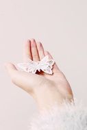 decorative butterfly in hand