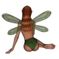 green-winged fairy sits on the ground