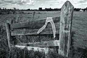 striped Tights on weathered wooden fence in countryside