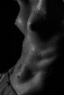 Naked girl body