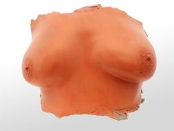 image of a bust of a female figure