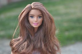 doll with long brown hair on a background of green bushes