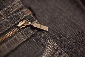 golden Zip on grey Jeans Clothing