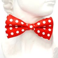 red bow tie with white polka dots