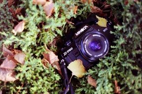 vintage camera in the grass close-up