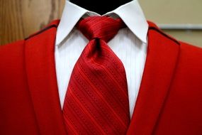 Red Vest Suit Tie Shirt Collar