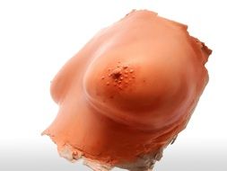 gypsum busy of woman breast
