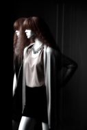 Dummy Doll mirroring on Window